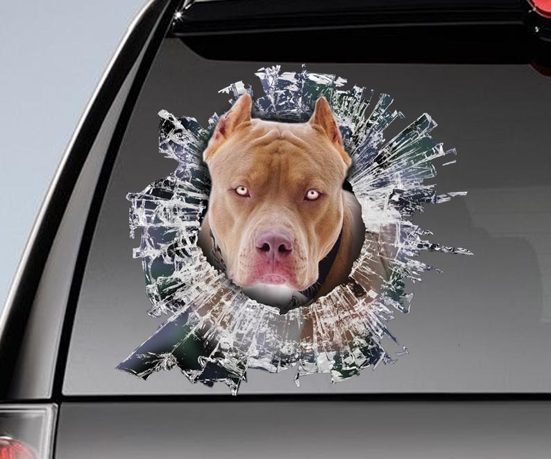 Pit Bull window sticker - Minaal store
